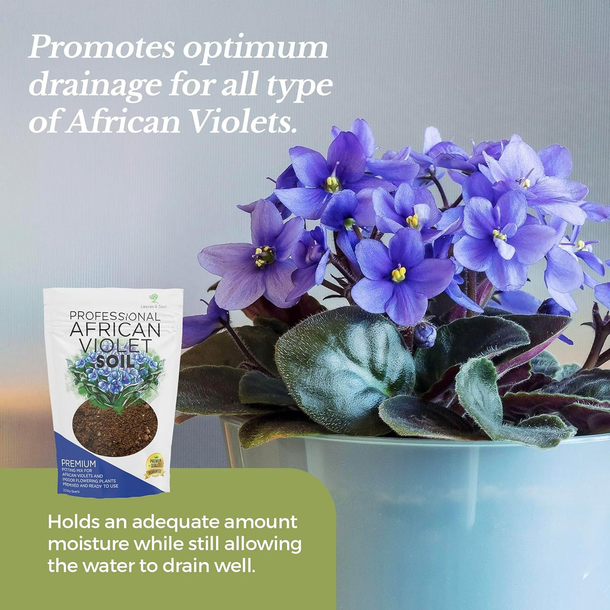 Professional African Violet Plant Soil | Premium All Purpose Blend | Large 2.2 Quarts | Ready to Use for Indoor Flowering Plants | Peat Moss, Coco Coir, Perlite, Dolomite | Made in USA