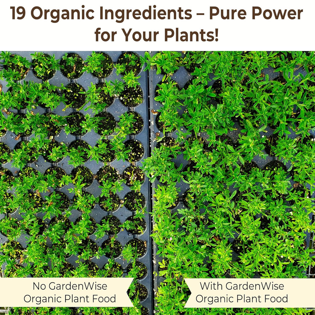 Organic Liquid Plant Food for Indoor Houseplants – All Purpose Fertilizer for Potted Plants, Vegetables, Succulents, Orchids, Roses – Miracle Growth with Mycorrhizae (16 oz)
