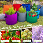 7 Pack 10 Gallon Plant Grow Bags - Mixed 7 Colors with Reinforced Handles & Aeration Design, Ideal for Tomato, Flowers & Fruits