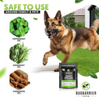 BugBarrier's Extra-Strength Mouse Repellent Deterrent Pouches, USDA 99% Biobased, Peppermint & Rosemary Oils Repel Mice Nesting in Car, RV, Boat, Garage, Shed, Cabin Made in The USA (Pack of 10)