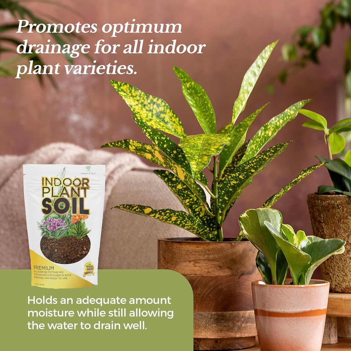 Indoor Plant Soil Premium All Purpose Blend | Large 2.2 Quarts | Ready to Use for Indoor Container and Houseplants | Peat, Coco Coir, Perlite, Dolomite | Made in USA