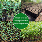 Belit 100 Pcs Plant Nursery Bags, Plastic Seedling Pots Container for Fruit Tree, Flower, Starting saplings, Plant Grow(4.7"x7.3")