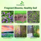 Outsidepride Hairy Vetch Cover Crop Seeds - 1 Lb Cold Tolerant, Winter Hardy - Ideal for Soil Improvement, Green Pasture, Hay & Livestock Forage - Pollinator Friendly Garden Seeds, Ground Cover
