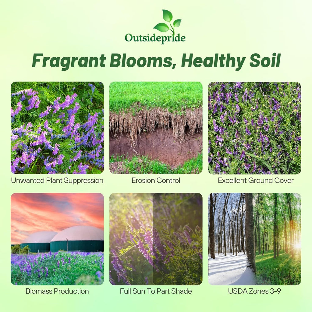 Outsidepride Hairy Vetch Cover Crop Seeds - 10 Lbs Cold Tolerant, Winter Hardy - Ideal for Soil Improvement, Green Pasture, Hay & Livestock Forage - Pollinator Friendly Garden Seeds, Ground Cover