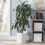 Austin Planter 18in (16.3in Base) White Granite Case of 2