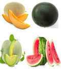 Melon Seeds Variety Pack for Planting – 4 Non-GMO Heirloom Varieties: Crimson Sweet & Sugar Baby Watermelon, Honeydew, Hale's Best Jumbo Cantaloupe – High Germination, USA-Grown Garden Fruit Seeds