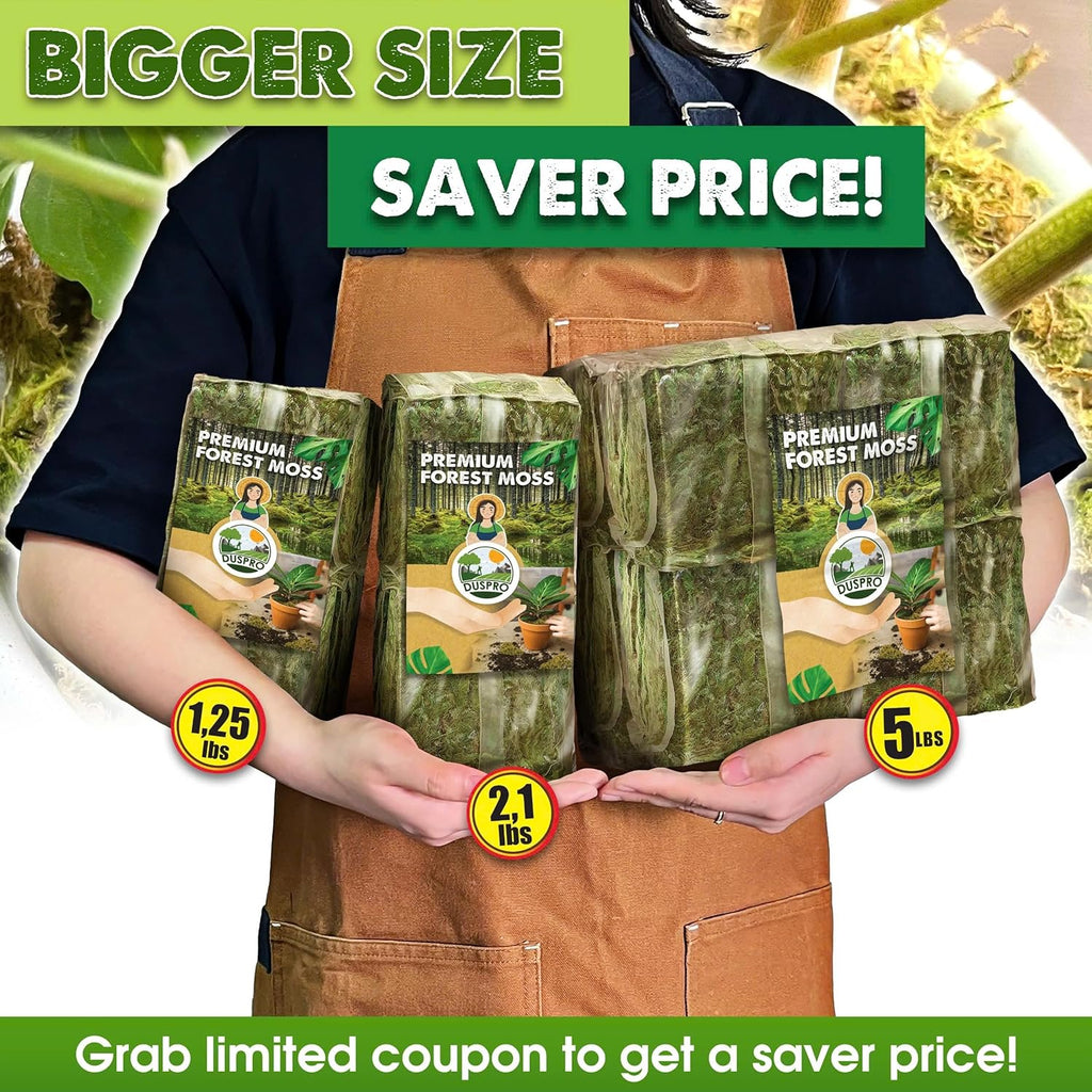 DUSPRO Big Bag Dried Forest Moss for Plant Propagation Sphagnum Moss Bulk for Orchid Repotting Mix Organic Soil Medium Bale Premium Hand Selected (5 LBS)