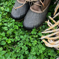 Micro Clover Seed for Lawn - 4 Oz - ~100,000 Microclover Seeds for Planting - Drought-Tolerant Mini Grass Alternative by Mountain Valley Seed Company