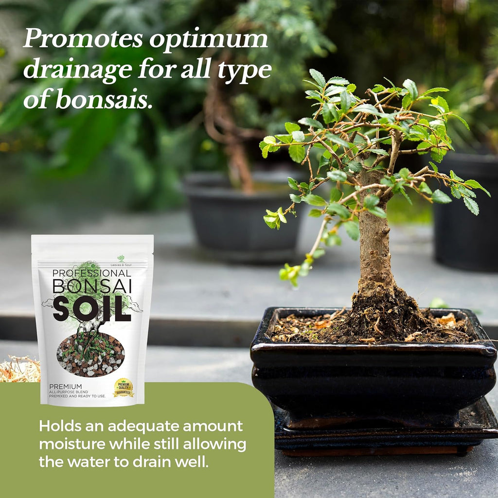 Bonsai Soil Premium All Purpose Blend | Pre-Mixed Ready to Use for Fast Drainage | Large 2.2 Quarts | Lava, Limestone Pearock, Calcined Clay and Pinebark | Made in USA