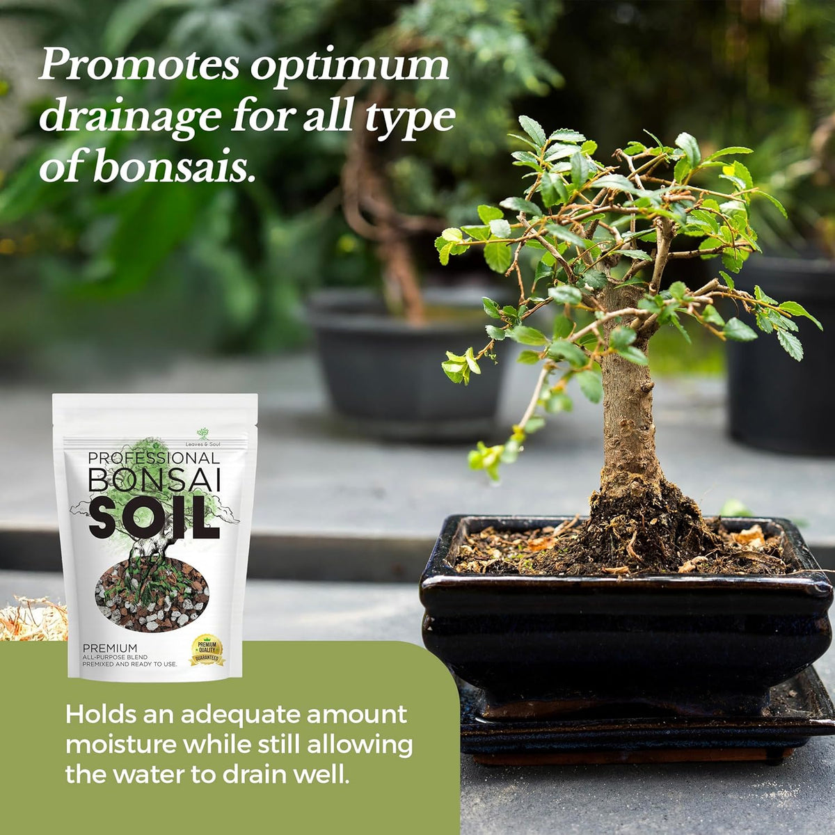 Bonsai Soil Premium All Purpose Blend | Pre-Mixed Ready to Use for Fast Drainage | Large 2.2 Quarts | Lava, Limestone Pearock, Calcined Clay and Pinebark | Made in USA