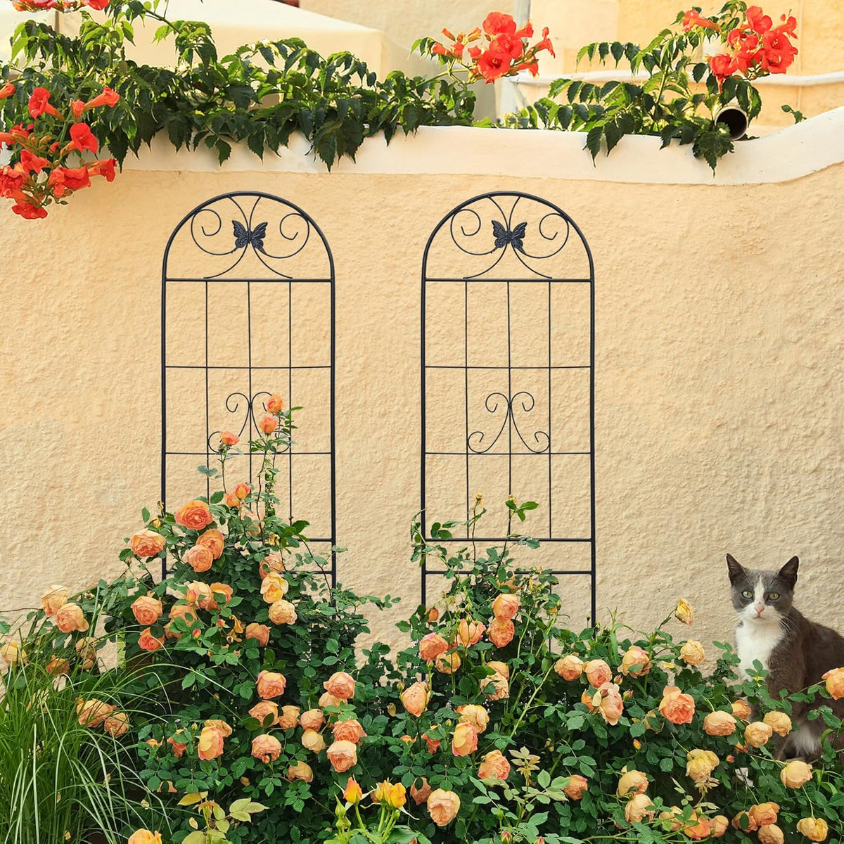 4 Pack Garden Trellises with Black Metal Coating, Trellis for Climbing Plants Outdoor, Roses, Vegetables, Vines, Cucumbers-19.7×86.7 inches.