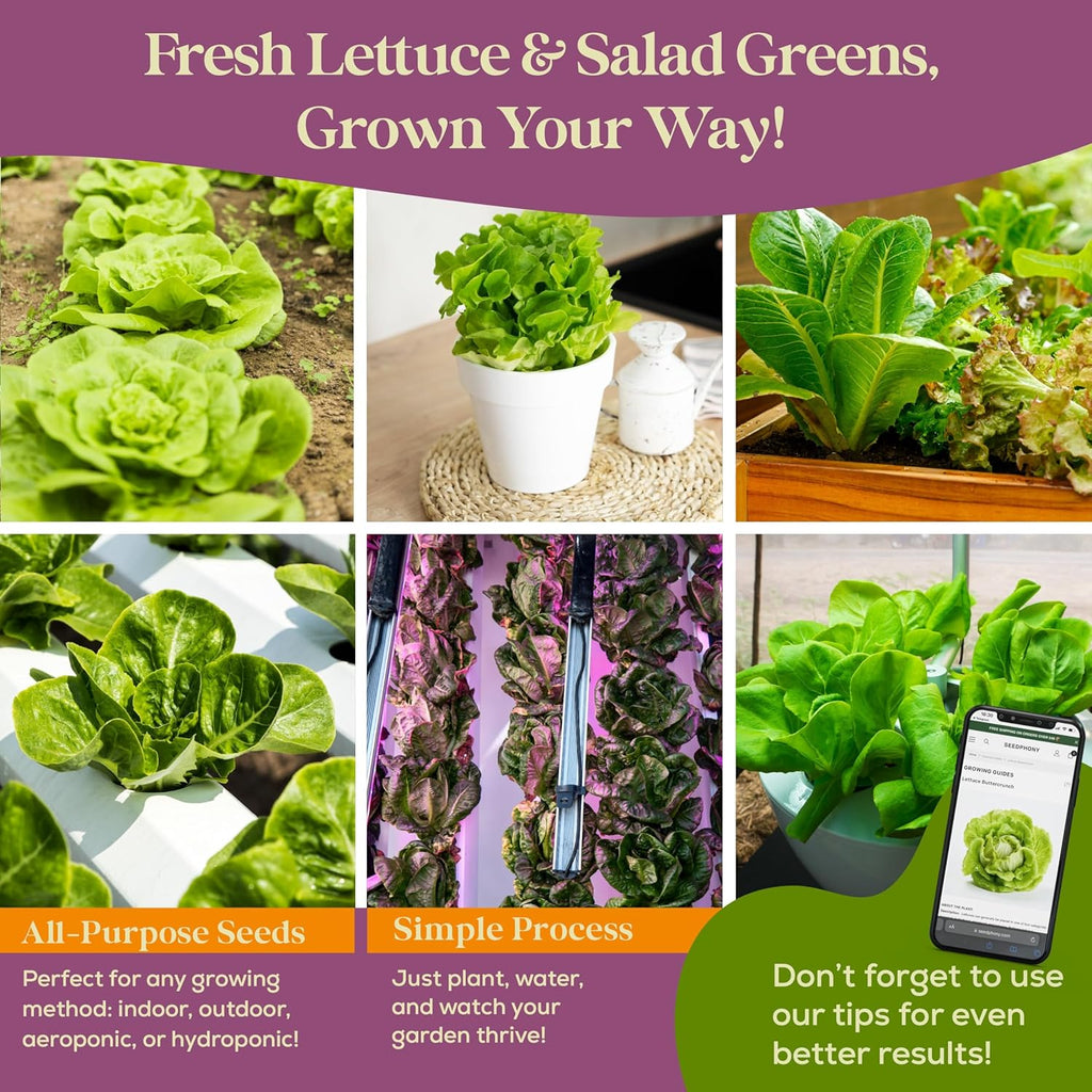23 Lettuce & Salad Greens Seeds Variety Pack - 25,000+ Non-GMO Heirloom Greens Seeds for Planting Lettuce Indoor & Outdoor: Arugula, Mizuna, Kale, Spinach, Swiss Chard, Mache & More Lettuce Seeds