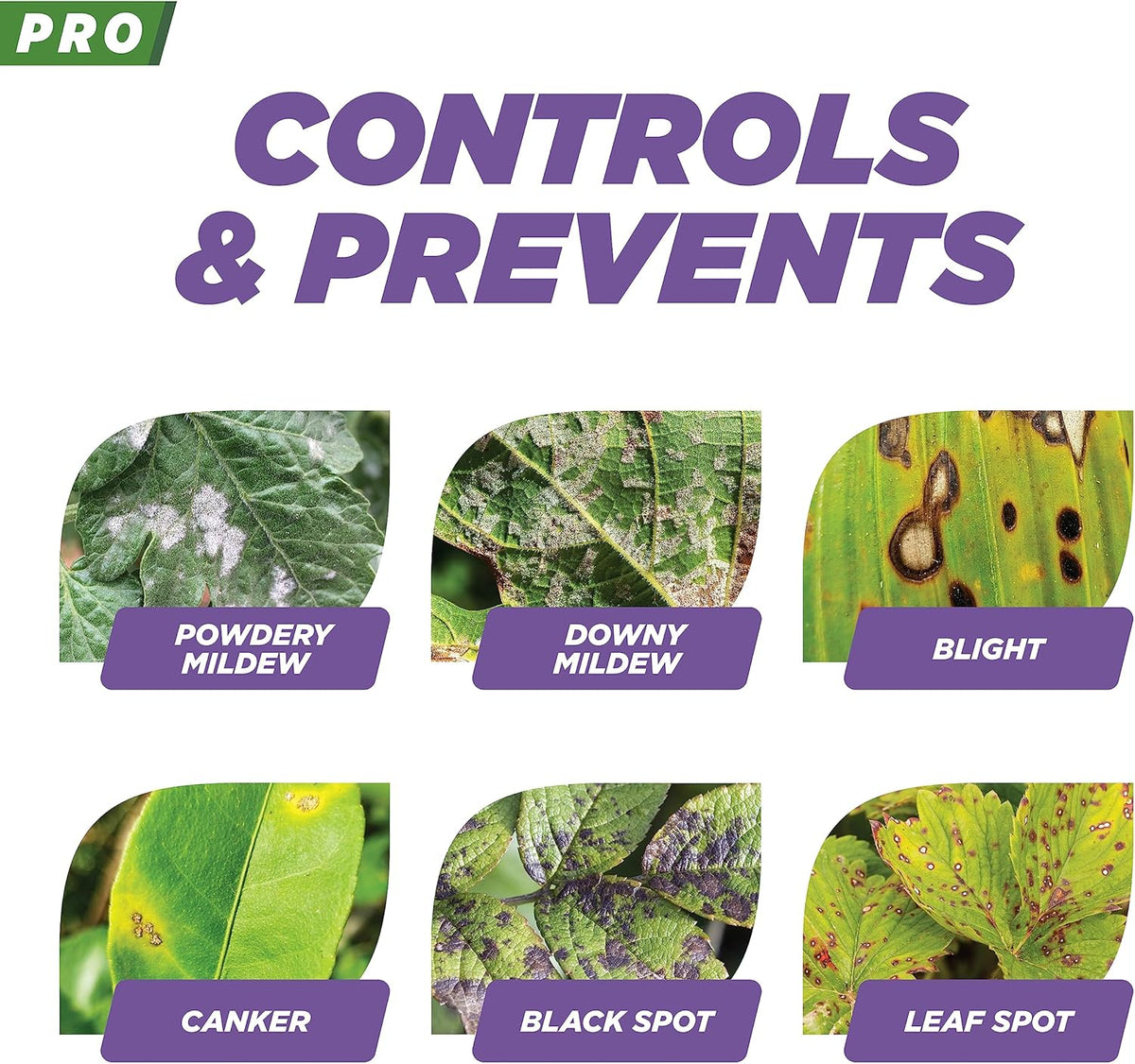 Earth's Ally Pro 3-in-1 Plant Spray 2.5 gal Super Concentrate | Insecticide, Fungicide & Spider Mite Control, Use on Indoor Houseplants and Outdoor Plants, Gardens & Trees - Insect & Pest Repellent