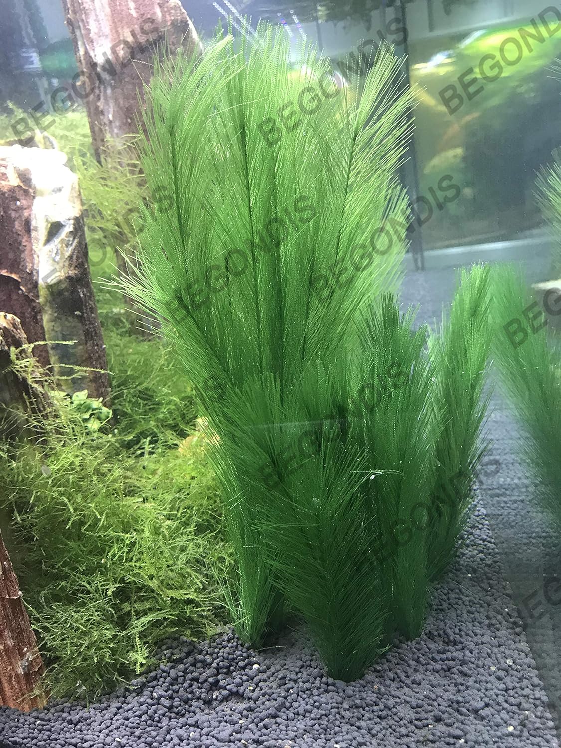 BEGONDIS Aquarium Decorations 3Pcs Fish Tank Artificial Green Water Plants Made of Silk Fabrics Plastic