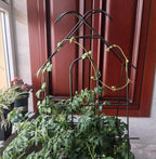 ARIFARO 24'' Metal Garden Trellis Indoor/Outdoor Sturdy Plant Trellis for Potted Plants,House Plants, Climbing Vines, Pack of 4, Black