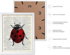 Poster Master Dictionary Art Poster - Retro Ladybug Print - Insect Art - Red Bug Art - Gift for Men, Women & Animal Lover - Minimal Decor for Living Room & Kid's Room, 8x10 White Framed
