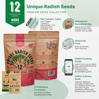 Organo Republic 12 Radish Seeds Variety Pack for Indoor & Outdoors 2400+ Heirloom Non-GMO Radish Garden Seeds: Daikon, Cherry Belle, French, Breakfast, Champion, Purple, Watermelon Radishes Seeds