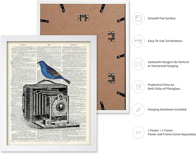 Poster Master Dictionary Art Poster - Antique Camera Print - Bird Art - Photography Art - Gift for Men, Women & Photographer - Chic Decor for Living Room, Bedroom or Office, 11x14 White Framed
