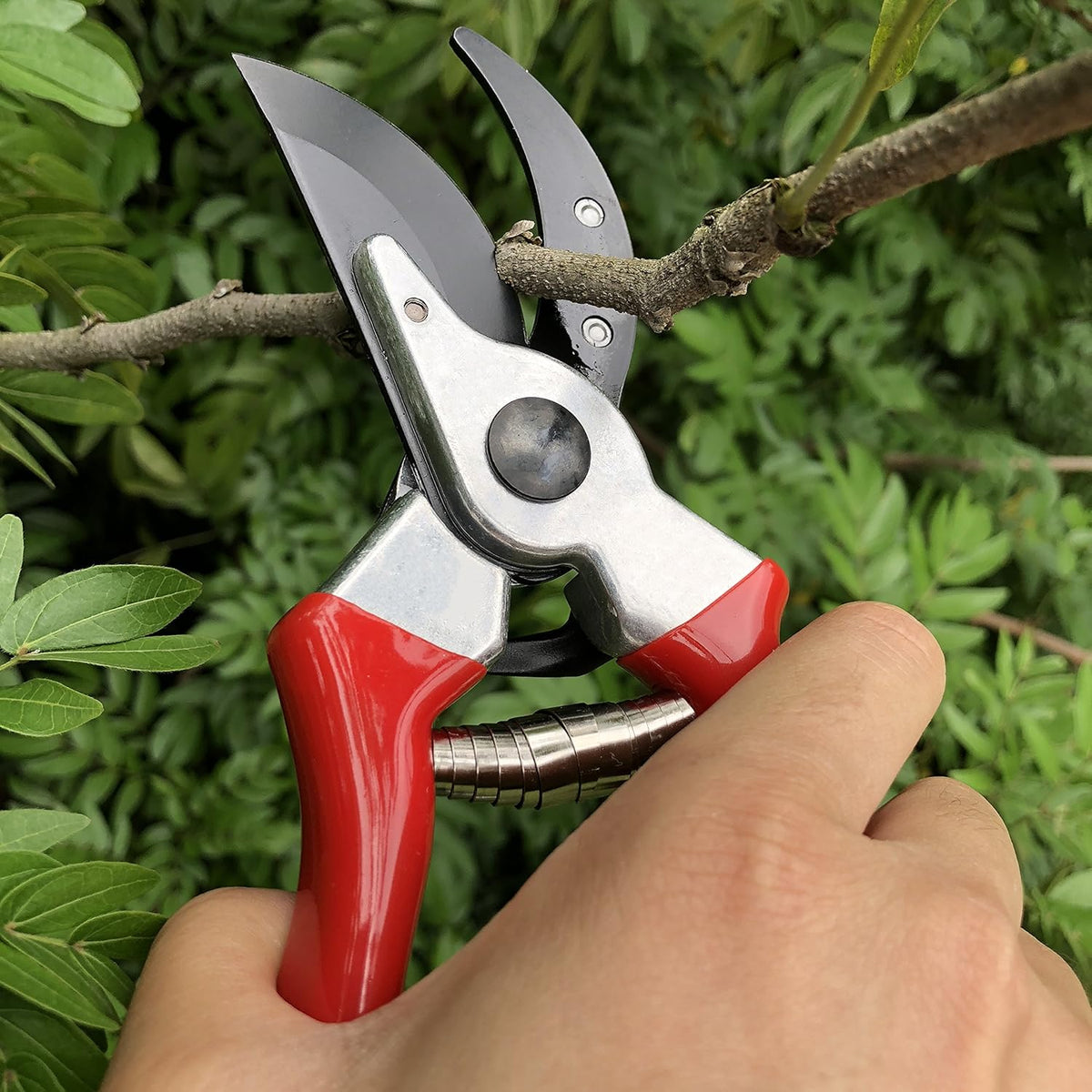 gonicc 8" Professional Sharp Bypass Pruning Shears (GPPS-1002), Tree Trimmers Secateurs,Hand Pruner, Garden Shears,Clippers For The Garden, Bonsai Scissors, Loppers