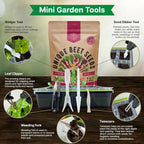 Organo Republic 10 Rare Beet Seeds Variety Pack for Planting Indoor & Outdoors 1625+ Heirloom Non-GMO Bulk Beets Gardening Seeds: Chioggia, Detroit Dark Red, Sugar, Cylindra, Bulls Blood, White Albino