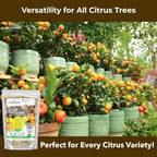 Professional Citrus Fertilizer + Vital Micronutrients; Perfect Balanced NPK for All Citrus; for Indoor and Outdoor Plants; Orange, Lime, Avocado and Lemon Tree Fertilizer (5 QUARTS)