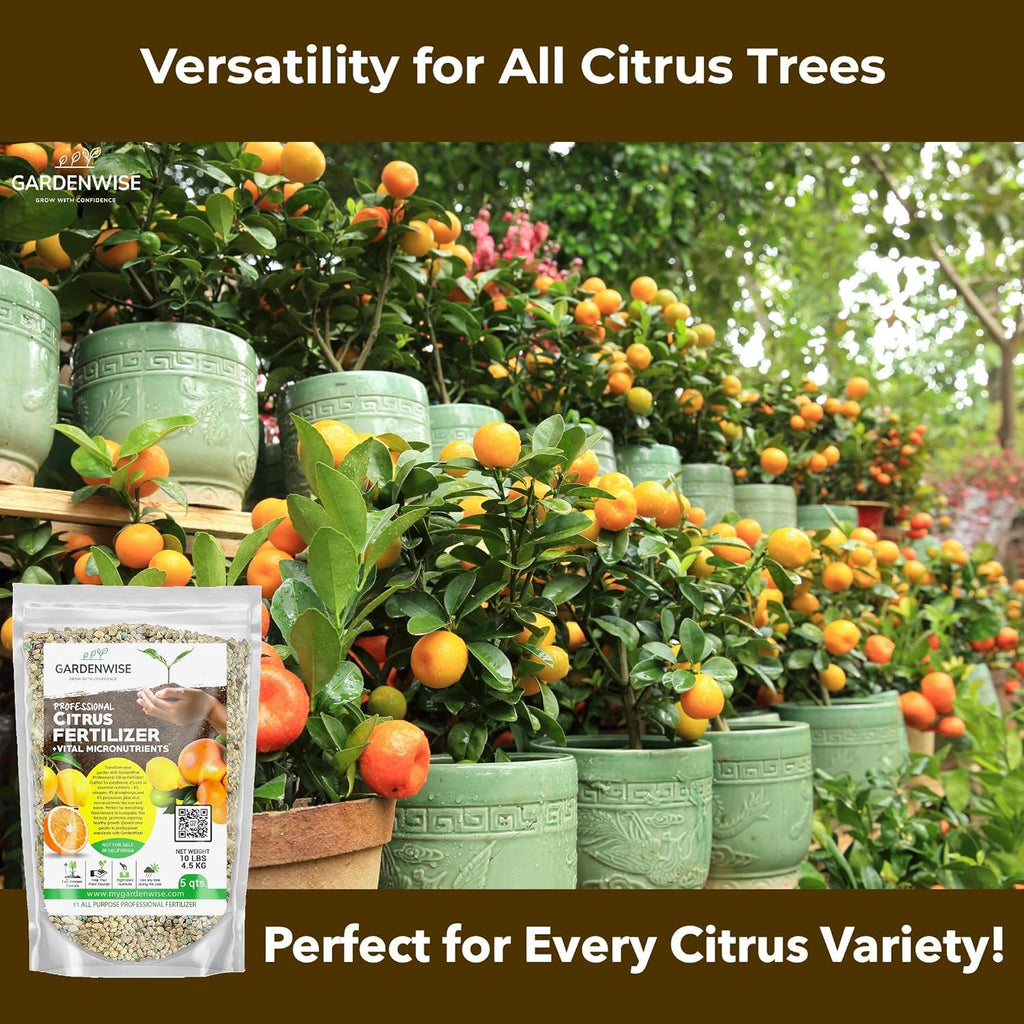 Professional Citrus Fertilizer + Vital Micronutrients; Perfect Balanced NPK for All Citrus; for Indoor and Outdoor Plants; Orange, Lime, Avocado and Lemon Tree Fertilizer (4 QUARTS)