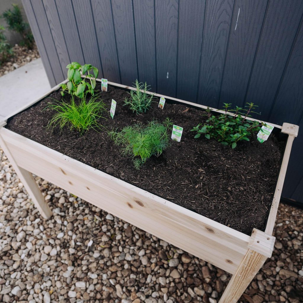 Backyard Expressions Wooden Raised Garden Bed|Elevated Planter Box with Included Bed Liner|Outdoor Vegetable, Flower, and Herb Gardening (4' x 2')