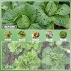 JEYODA Garden Netting Plant Covers Net Ultra Fine Mesh Pest Barrier Net Tree Vegetable Mesh Protection Netting Greenhouse Row Nets (10 * 33ft(3 * 10m))