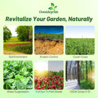 Outsidepride Gardenway Cover Crop Seeds - 25 lbs Nutrient-Rich Seed Mix for Soil Health Improvement & Home Gardens - Mixture of Triticale, Peas, Oats, Vetch, Annual Ryegrass, Crimson Clover