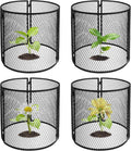 4 Pack Metal Plant Cage Protectors from Animals-11.8 x 11.8 Inch Garden Plant Protector - Sturdy Bunny Barricades Chicken Wire Cloche Plant Protectors for Keeping Bunny Animals Out