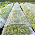 2 Pack Garden Netting - 10x33Ft,Ultra Fine Mesh Netting,Raised Bed Plant Covers Netting Barrier Net Protect Fruit Flower Vegetables Crops from Tiny Pests Insect Birds Deer Squirrels
