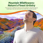 Outsidepride Mountain Wild Flower Seed Mix - 1 lb Premium Blend of Annual & Perennial Wildflower Seeds for High-Elevation in USDA Zones 3-8, Ideal for Mountain Gardens, Low-Maintenance & Easy to Grow