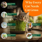 Cat Grass Seed Mix – 16 oz Pack with 20,500 Non-GMO Heirloom Seeds for Cats, Barley, Oat, Rye & Wheatgrass for Indoor Growing, Fresh Pet Grass for Digestion & Hairball Control