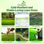 Outsidepride Creeping Red Fescue Grass Seed - 25 Lbs. Cool Season, Soft Textured, Self-Repairing Fine Fescue Grass Seeds for Lawn w/OptiGrowth Coating, Ideal for Dryland Cover Crop & Landscaping