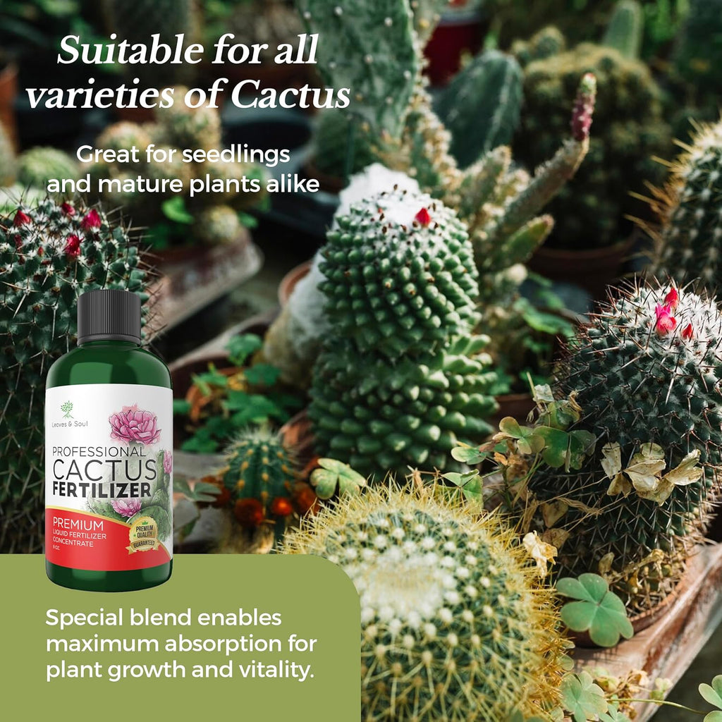 Professional Liquid Cactus Plant Fertilizer | 3-1-2 Concentrate for Flowering Plants | Multi-Purpose Blend & Gardening Supplies | 8 oz Bottle