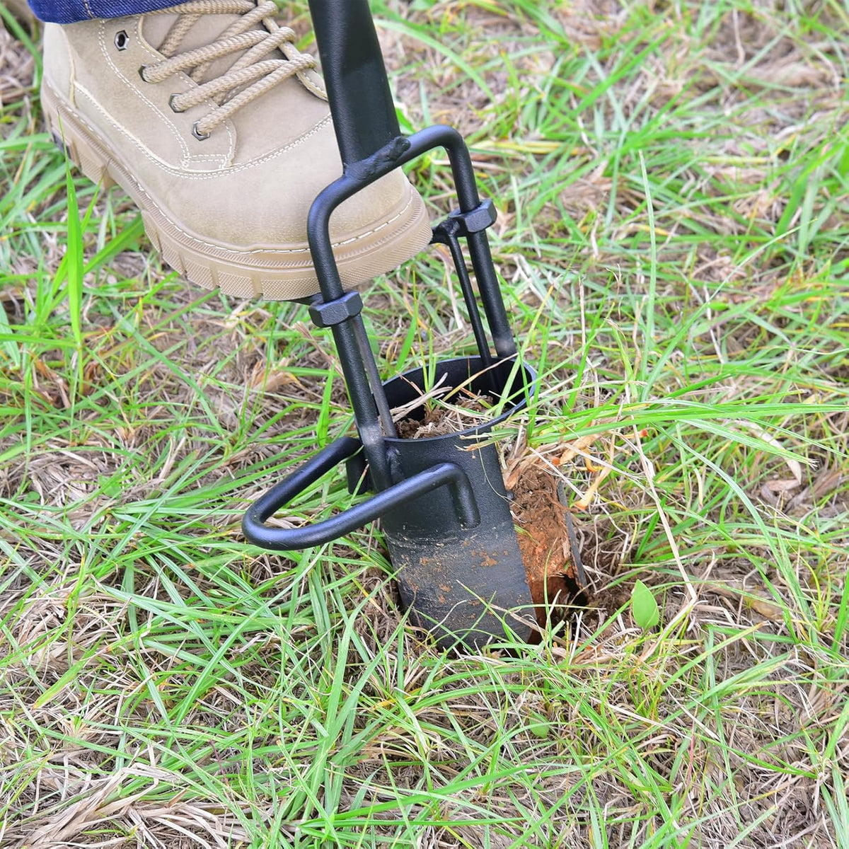 Sod Plugger, Bulb Planter with Long Handle and Serrated Base Garden Tool, Bulb Transplanter Also Grass Plug Tool for Digging Holes to Plant Tulips, Iris, Daffodils