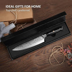 PAUDIN Damascus Chef Knife, 8 Inch Kitchen Knife, 67 Layers Damascus Steel Knife Japanese VG10 Core, Professional Chefs Knife with Ergonomic G10 Handle