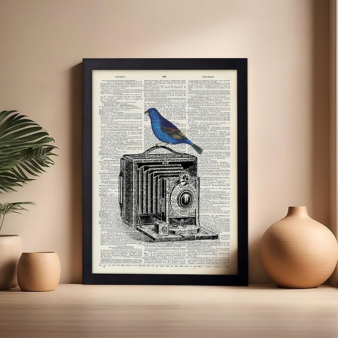 Poster Master Dictionary Art Poster - Antique Camera Print - Bird Art - Photography Art - Gift for Men, Women & Photographer - Chic Decor for Living Room, Bedroom or Office, 16x20 Black Framed