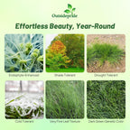 Outsidepride Hard Fine Fescue Grass Seed - 5 lbs. Low-Growing, Drought & Shade-Tolerant, OptiGrowth Coated Seed for Lawn & Turf, Ideal for Low-Maintenance, Dense, & Resilient Green Ground Cover