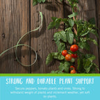 VELCRO Brand Adjustable Plant Ties | 75 ft x 1/2 in Green Garden Tape | Reusable, Cut-to-Length Hook & Loop Plant Support for Staking, Training & Organizing Tomatoes, Vines, and Flowers