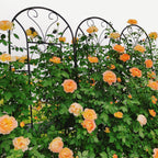 Garden Trellises, 4 Pack Black Metal Coated Rustproof Trellis for Climbing Plants Outdoor, Roses, Vines, Flowers, and Vegetables-86.7" x 19.7"