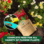 BuildASoil No-Till Clover Seed Cover Crop Blend 12 Species Cover Crop Seed Mix Premium Clover Seeds for Lawn - Plants Friendly Cover Crop for Garden - 60% Clover (1 lb Bag)