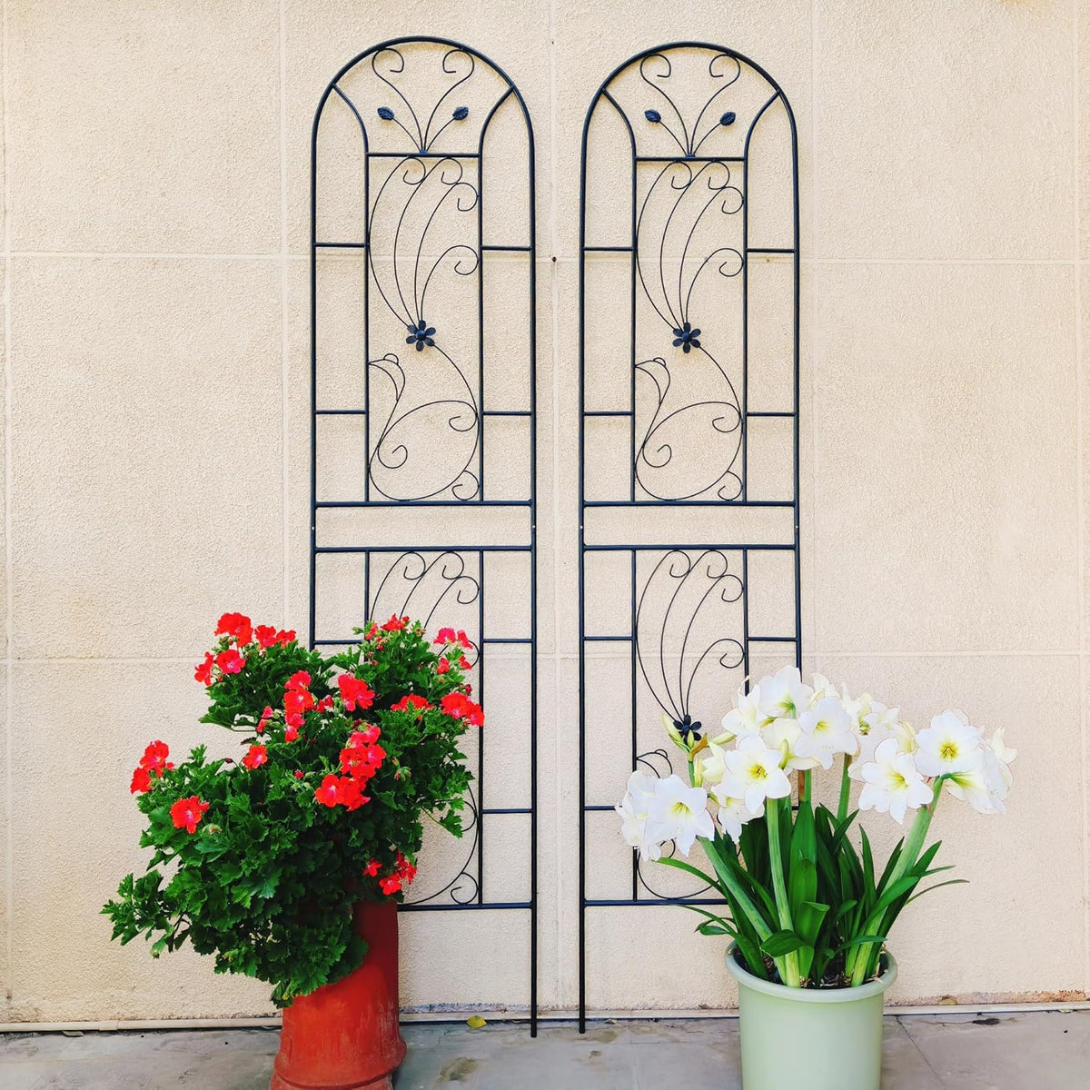 Garden Trellises, 2 Pack Black Metal Coated Rustproof Trellis for Climbing Plants Outdoor, Roses, Vines, Flowers, and Vegetables-86.7" x 19.7"