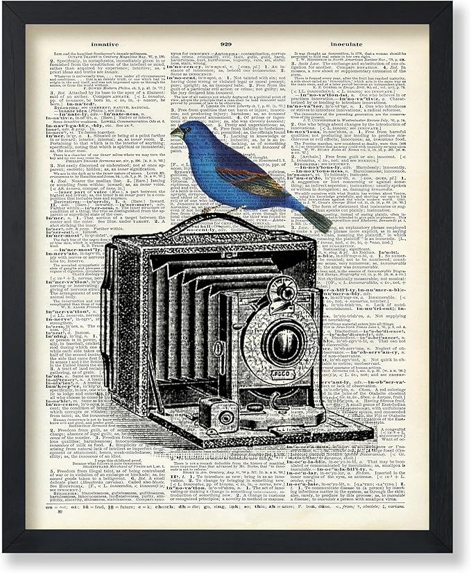 Poster Master Dictionary Art Poster - Antique Camera Print - Bird Art - Photography Art - Gift for Men, Women & Photographer - Chic Decor for Living Room, Bedroom or Office - 11x14 UNFRAMED Wall Art