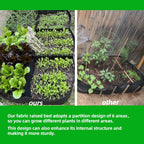 CJGQ Fabric Raised Garden Bed 4x2x1ft Garden Grow Bed Bags for Growing Herbs, Flowers and Vegetables 55 Gallon