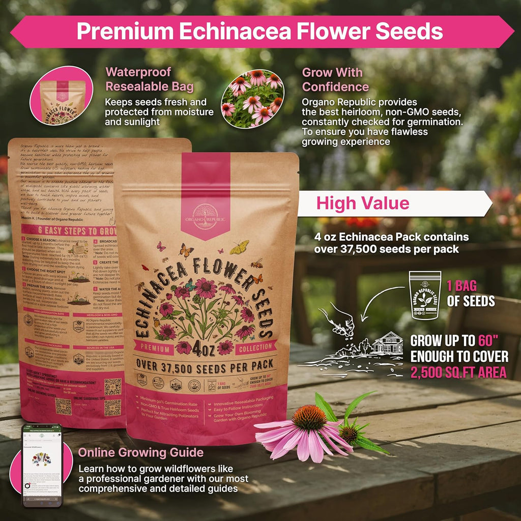Organo Republic Echinacea Seeds Pack 4 oz - Over 37,500 Non-GMO Heirloom Echinacea Seeds for Planting, Perennial Flowers in Individual Packet, Coneflower for Planting Indoor & Outdoors