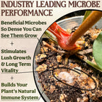 All-in-One Complete Organic Plant Food, Indoor Plant Food for Houseplants, Organic Fertilizer for Vegetable Gardens, 7 Formulated Single Servings Feeds 14 gal Fast and Slow Release