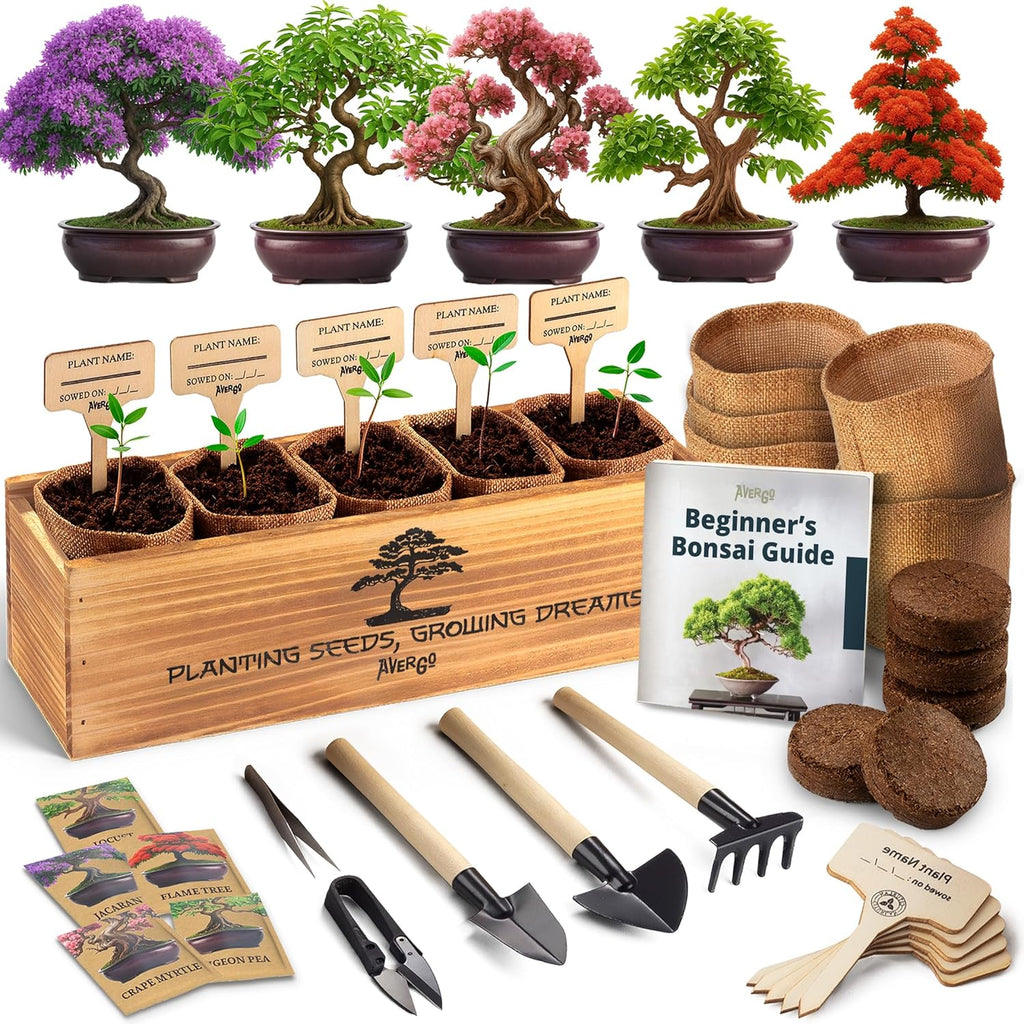 AVERGO Bonsai Tree Kit for Beginners – 5X Unique Japanese Bonzai Trees | Complete Indoor Starter Kit for Growing Bonsai Plants with Tools & Planters – Gardening Gifts for Women & Men
