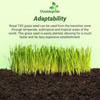 Outsidepride Royal TXD Bermuda Grass Seed Blend - 1 lb. Warm Season, Fast Growing Turf Grass Seeds: Heat & Drought Tolerant, Ideal for Home Lawns & Sports Fields, Dense & Lush Green Coverage