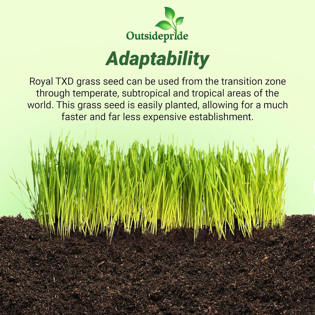Outsidepride Royal TXD Bermuda Grass Seed Blend - 1 lb. Warm Season, Fast Growing Turf Grass Seeds: Heat & Drought Tolerant, Ideal for Home Lawns & Sports Fields, Dense & Lush Green Coverage